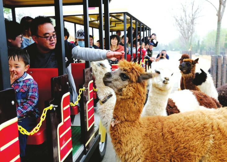 濟南市旅發(fā)委發(fā)布“慶中秋 迎國慶”秋季旅游指南